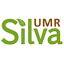 UMR Silva (Owner)