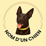 Photo du rédacteur: Nom d'un chien