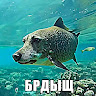 user_vrliu9g6e2w0ct2s member profile picture