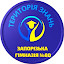 Запорізька гімназія No80 (Owner)