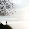 Writer: Allen Sunny