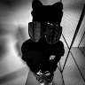 dmitro_rtlekyx