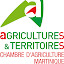 Chambre d'agriculture Martinique (Собственик)