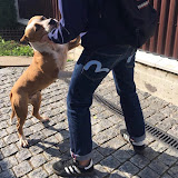 사용자를: Владислав Левченко