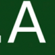 Adam L. L.