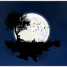 Dhaya s