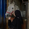 Nihad BEN KHELIFA