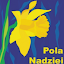 pola nadziei (Owner)