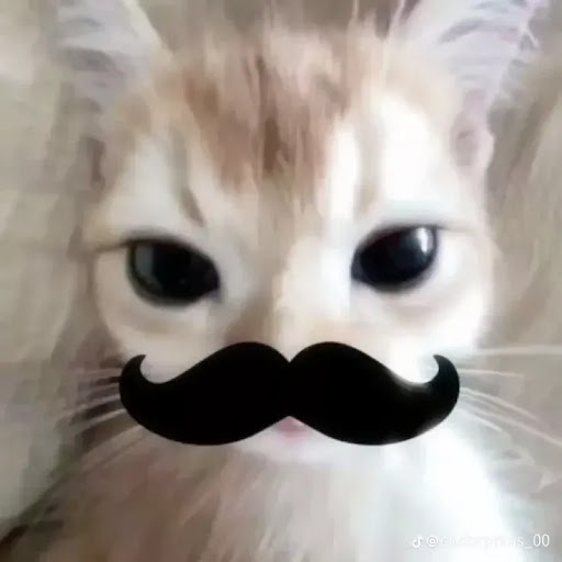 ---