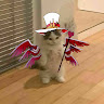 user_6gs4a8p04mevcmzp member profile picture
