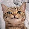 ccliew's Avatar