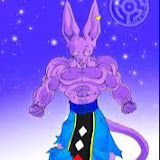 robbin van wingerden