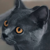 X_Muna (1 Umar: Mundzeer)