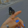 Created by