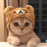無言 5