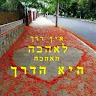 תמונת פרופיל