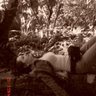 Created by