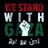 أحمد هانى