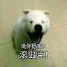 B80_8888's Avatar