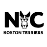 Boston Terriers nyc - Profile picture