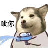 Hsin Lin