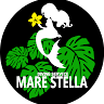 執筆者の写真: STELLA MARE