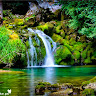 תומר אהרון's photo