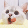 la Na