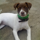 Bruger: panagiotis s