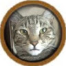 Civitai profile picture for @Naga
