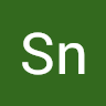 Civitai profile picture for @SnR
