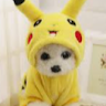 pikachulover