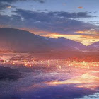 Bruger: Wilmer David Delgado