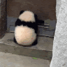 周柏凱 0