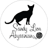 Фото автора: Sandy Lion Abyssinian Cattery