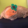 執筆者の写真: ゆーじ せきね