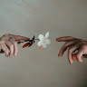 Writer: Della DalCol