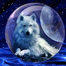 author-avatar