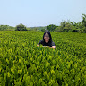 Writer: Phoebe Tay