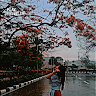 user-avatar