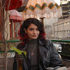 Pengguna: Nargess Seifi