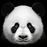dlmax's Avatar