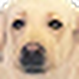 Bruger: Vova Samsonov