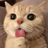 userThumbnail