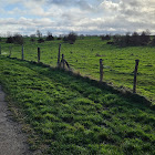 Bruger: LemonsGaming