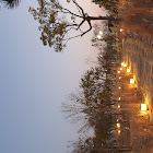 사용자를: jjin hwang