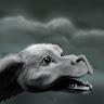 Civitai profile picture for @roko