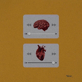 Használó: Abeer Abu samrh