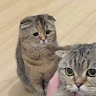userThumbnail