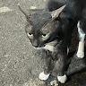 User 25182 avatar